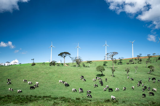 360_F_290802279_ExTsCRG7UB3S1hFcLoJwM0eiu91sPFIT