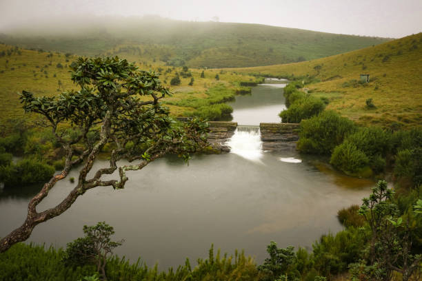 Horton plains national park, Sri Lanka
